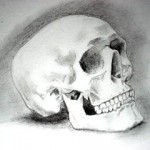 Freebie : Set of Skull Photoshop Brushes