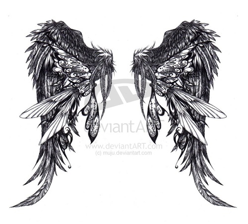 Wings_3_by_muju