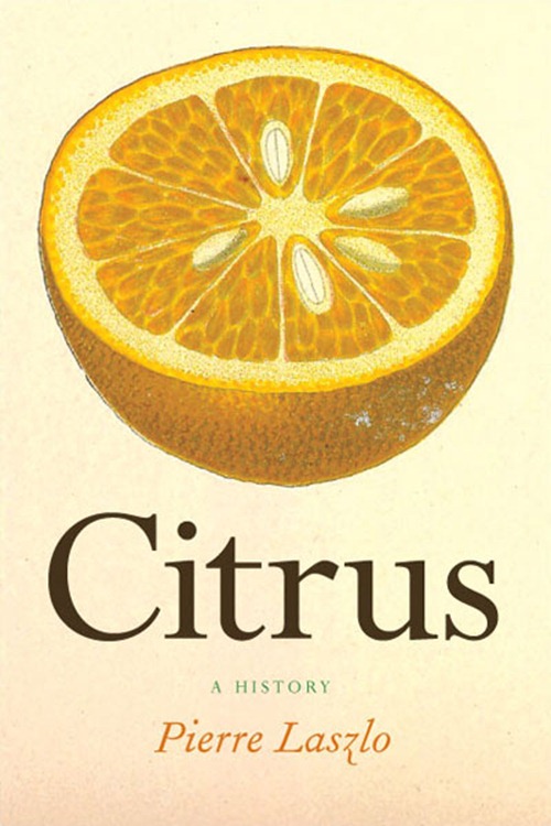 06_citrus