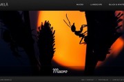 photography-websites.jpg