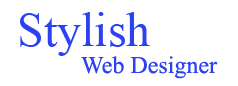 Stylish Web Designer