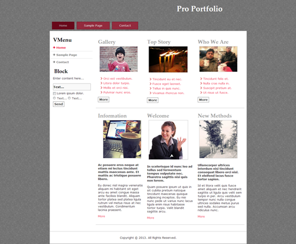 pro-portfolio