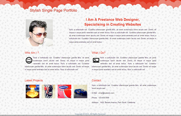 stylish-single-page-portfolio (1)