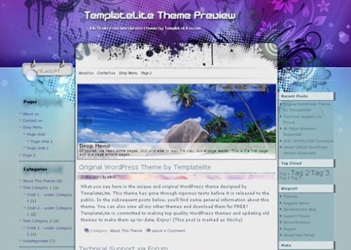 wordpress theme