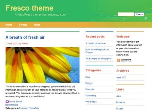 wordpress theme