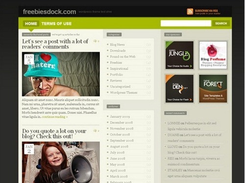 wordpress theme