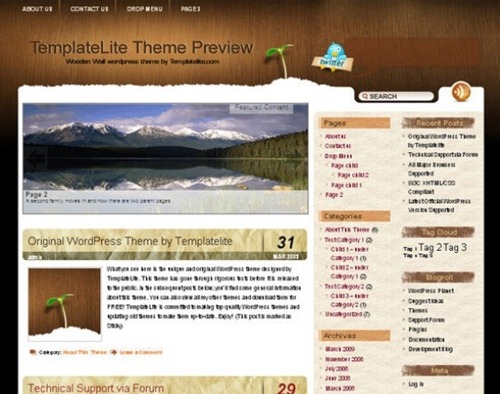 wordpress theme