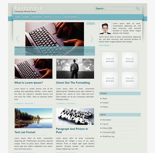 wordpress theme