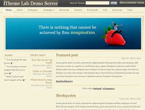 wordpress theme