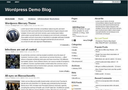 wordpress theme