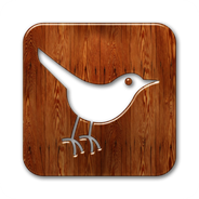 GlossyWaxedWoodSocialMediaIcons_twitter-bird3-square