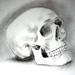 pencil_drawings_of_a_skull_8
