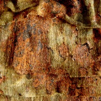 Rusty_Fabric_Texture_by_FantasyStock