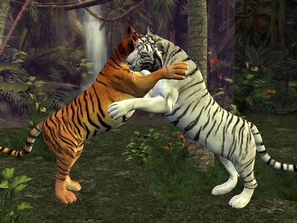 Tigers_by_Security16