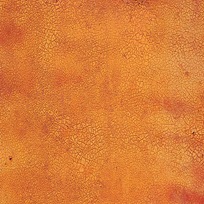 med_20090218-cracked-orange-rust