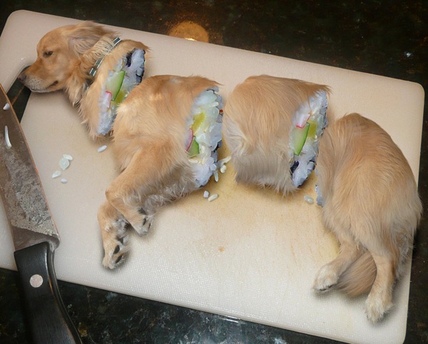 Sushi_Dog____by_Blue_Fish