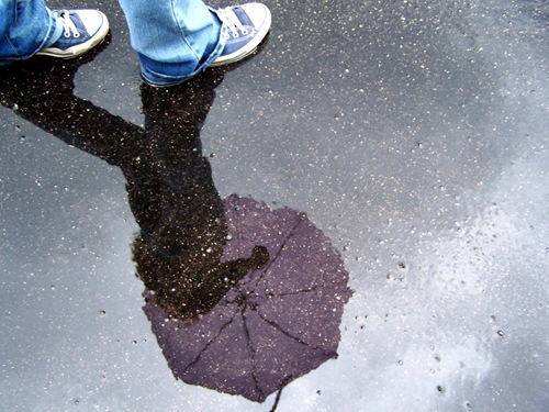 puddle_reflection_by_Mustardplz