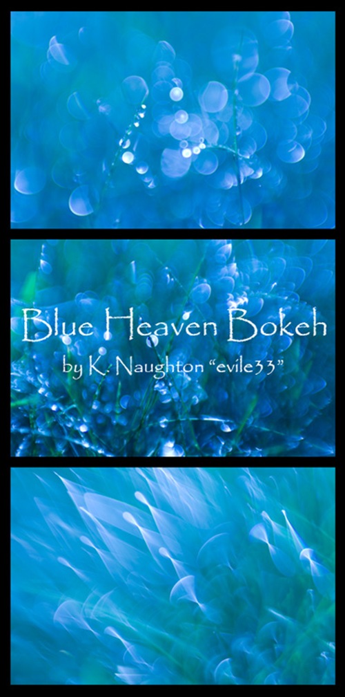 Blue_Heaven_Bokeh_by_evile33