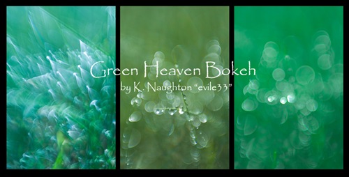 Green_Heaven_Bokeh_by_evile33