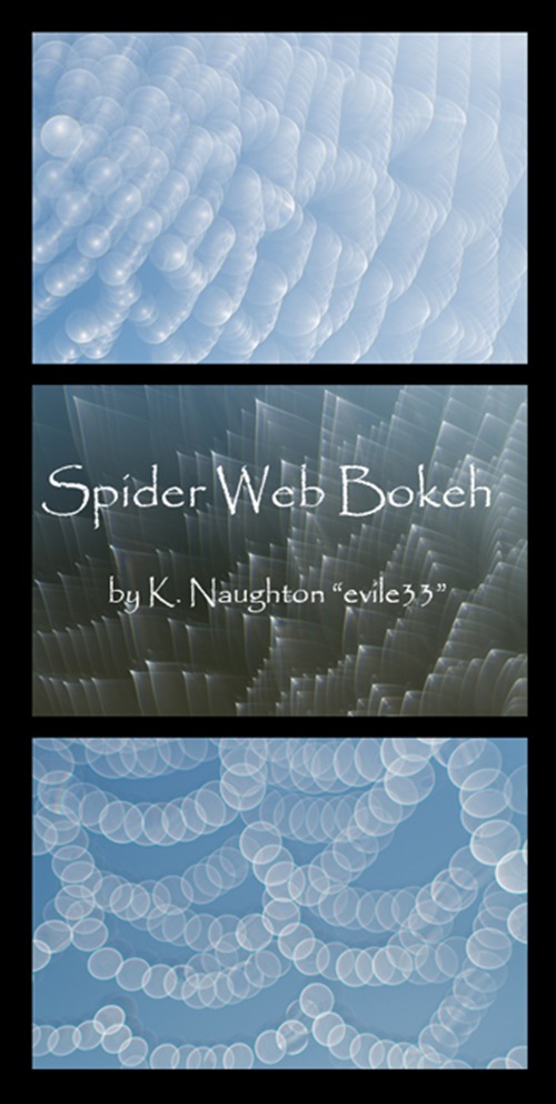 Spider_Web_Bokeh_by_evile33