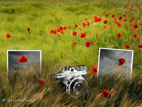 Beautifully Designed Photo Manipulated Wallpapers