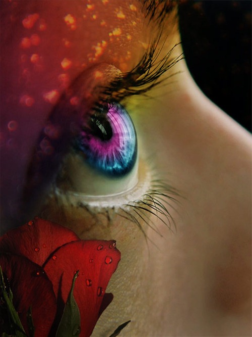 Spectacular Digital Art Works From February 2011