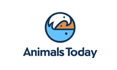 AnimalsToday v1 by Logomotive