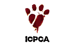 ICPCA by itsgareth