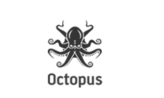 Octopus by lluck