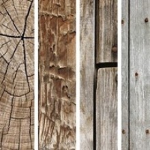 250 High Resolution Free Wood Textures For Web Designers