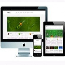 30+ Best Responsive WordPress Themes For Free Download