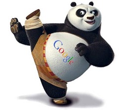 google panda update