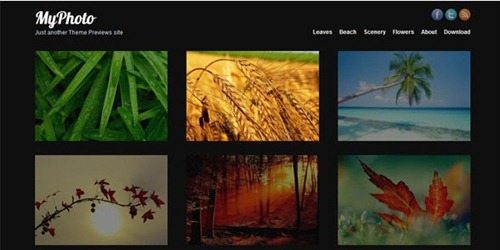 wordpress photography themes
