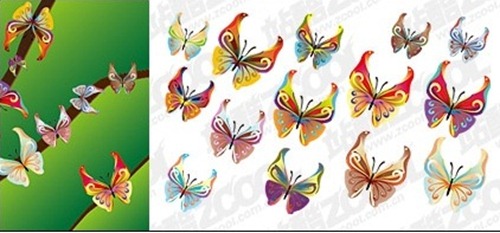 butterfly vector