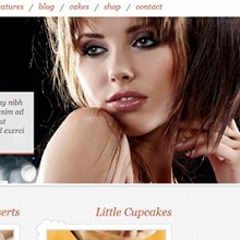 wordpress ecommerce theme