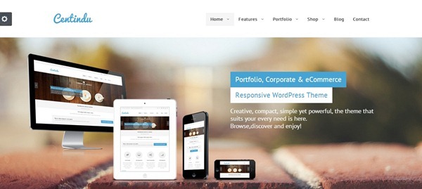 wordpress ecommerce theme