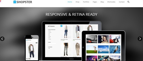 wordpress ecommerce theme