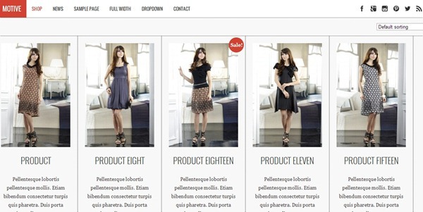 wordpress ecommerce theme