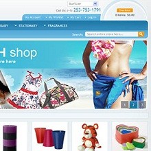 60 Best Free Magento Themes : 2013 Edition