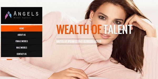 fashion website template