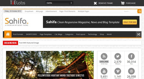 wordpress theme