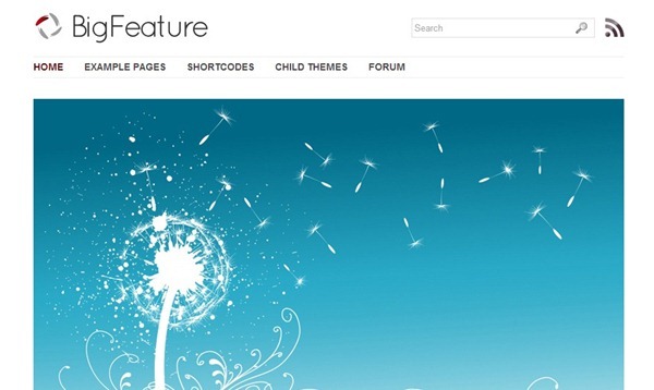 wordpress theme