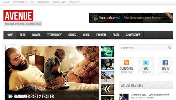 wordpress theme