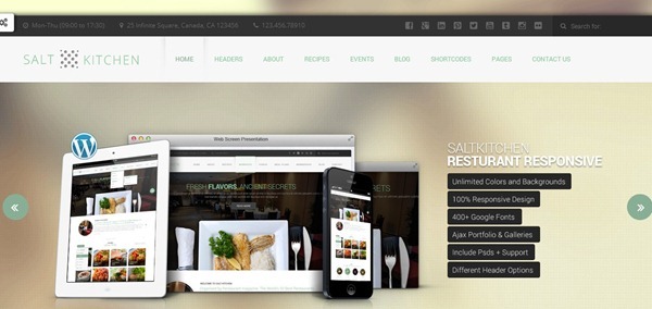 wordpress themes