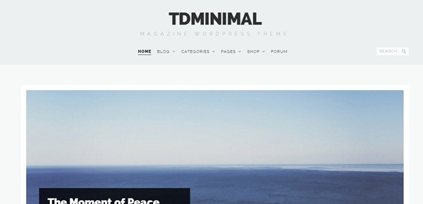 wordpress themes