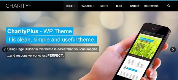 wordpress themes