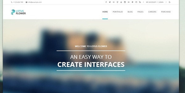 wordpress themes