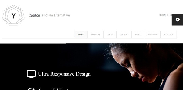 wordpress themes