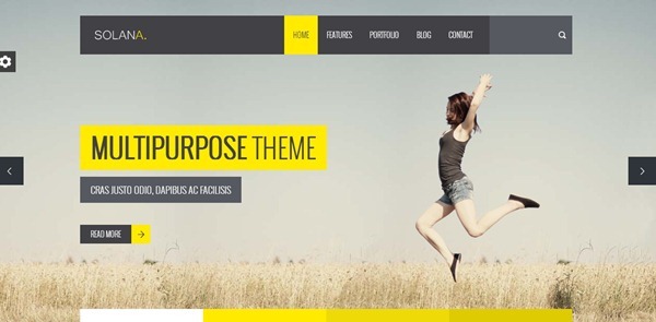 wordpress themes