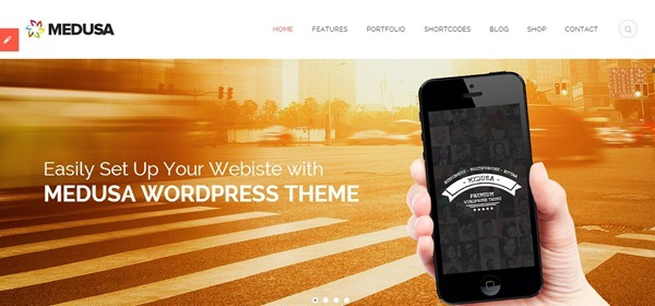 wordpress themes